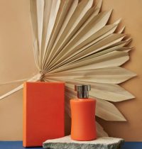 pexels-daria-liudnaya-8166788